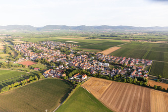 Agricultural land and field borders surround the settlement area of the village in Essingen in the state Rhineland-Palatinate, Germany seen from above