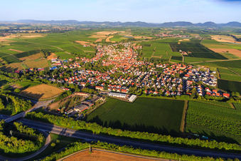 Aerial view of View of the town from the northeast beyond the A65 in Insheim in the state Rhineland-Palatinate, Germany