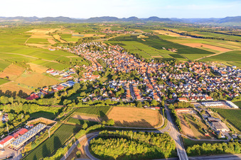 From the east in Insheim in the state Rhineland-Palatinate, Germany
