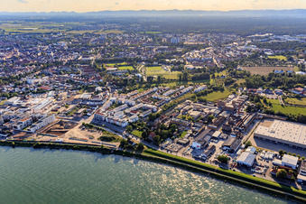 Franz-Kirmeier-Straße on the Rhine riverbank with industrial yard and NEG Novex in Speyer in the state Rhineland-Palatinate, Germany