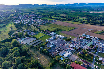 Aerial view of Riding and Driving Club eV in the district Billigheim in Billigheim-Ingenheim in the state Rhineland-Palatinate, Germany
