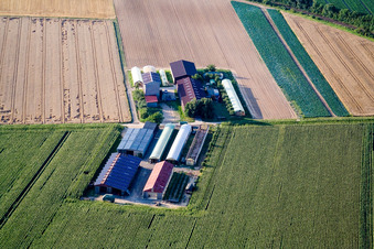 Aerial view of Aussiedlerhof am Höhenweg in Kandel in the state Rhineland-Palatinate, Germany