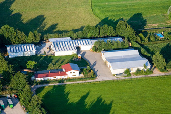 Drone recording of In the Rötzwiesen, farm of the Kerth family in the district Minderslachen in Kandel in the state Rhineland-Palatinate, Germany