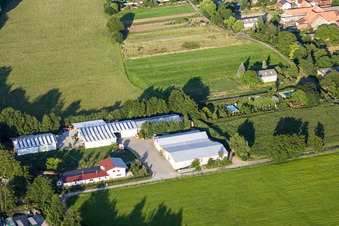 Drone image of In the Rötzwiesen, farm of the Kerth family in the district Minderslachen in Kandel in the state Rhineland-Palatinate, Germany