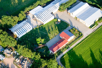 In the Rötzwiesen, farm of the Kerth family in the district Minderslachen in Kandel in the state Rhineland-Palatinate, Germany seen from a drone