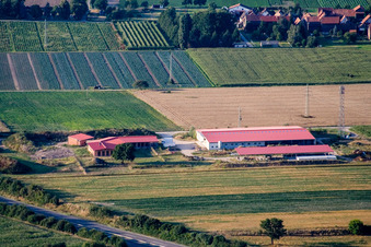 Aerial view of Chicken farm egg farm in Erlenbach bei Kandel in the state Rhineland-Palatinate, Germany