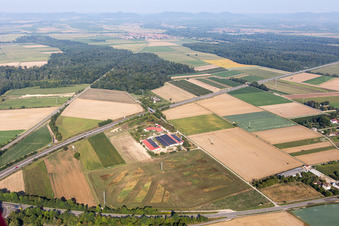 Aerial view of Egg farm in Erlenbach bei Kandel in the state Rhineland-Palatinate, Germany