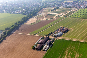 Resettler farm in Kandel in the state Rhineland-Palatinate, Germany