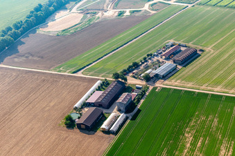 Aerial view of Resettler farm in Kandel in the state Rhineland-Palatinate, Germany