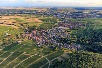 Wine-growing village on the edge of the Haardt from the north in the district Rechtenbach in Schweigen-Rechtenbach in the state Rhineland-Palatinate, Germany