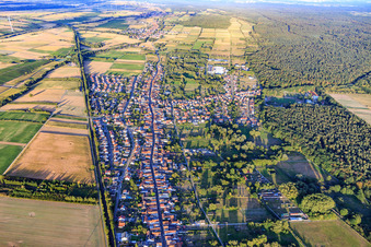 View of the town from the west, between the railway and the Bienwald forest in the district Schaidt in Wörth am Rhein in the state Rhineland-Palatinate, Germany