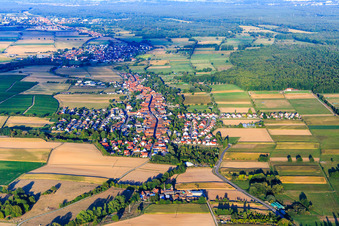 View of the village from the west, between Viehstrich and Bienwald in Freckenfeld in the state Rhineland-Palatinate, Germany