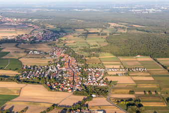 Aerial view of Freckenfeld in the state Rhineland-Palatinate, Germany