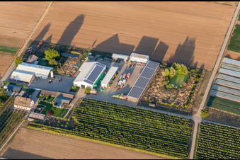 Aerial photograpy of Organic farmer Bauers Garden in Winden in the state Rhineland-Palatinate, Germany