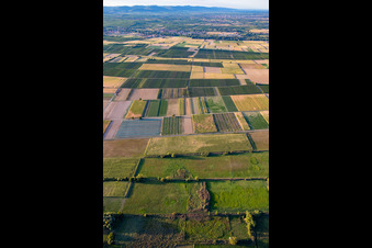 UL special landing site in Billigheim-Ingenheim in the state Rhineland-Palatinate, Germany