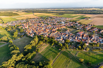 Village overview from the northwest in Steinweiler in the state Rhineland-Palatinate, Germany