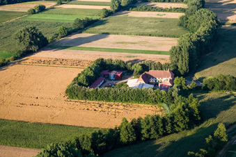 At Erlenbach, Leistenmühle in Kandel in the state Rhineland-Palatinate, Germany