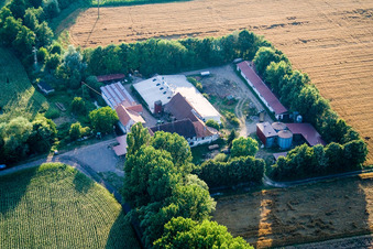 Bird's eye view of At Erlenbach, Leistenmühle in Kandel in the state Rhineland-Palatinate, Germany