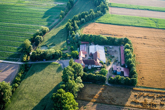 Drone recording of At Erlenbach, Leistenmühle in Kandel in the state Rhineland-Palatinate, Germany