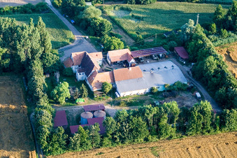 At Erlenbach, Leistenmühle in Kandel in the state Rhineland-Palatinate, Germany from a drone