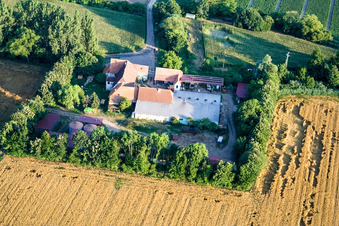 At Erlenbach, Leistenmühle in Kandel in the state Rhineland-Palatinate, Germany seen from a drone