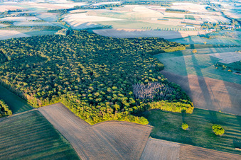 Aerial view of Forests in Chaouilley in the state Meurthe et Moselle, France
