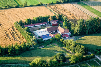 Oblique view of At Erlenbach, Leistenmühle in Kandel in the state Rhineland-Palatinate, Germany