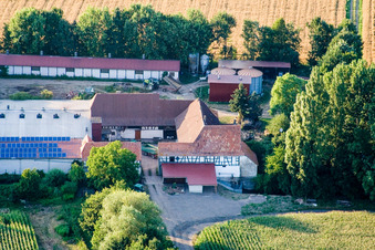 At Erlenbach, Leistenmühle in Kandel in the state Rhineland-Palatinate, Germany from the plane