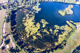 Shore areas at the lake area of the Ètang du Breuil in a wooded area in Flavigny-sur-Moselle in the state Meurthe et Moselle, France