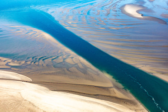 Aerial photograpy of Sea lions and harbor seals at the tidal creek to the sandbank Peter Meyers in Fanø in the state South Denmark, Denmark