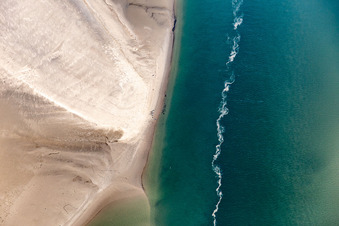 Aerial photograpy of Seals on a Sand bankarea at the sourthern coast of Fanoe in Syddanmark, Denmark