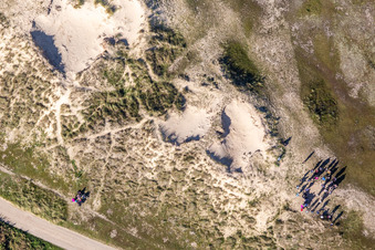 Dunes in Fanø in the state South Denmark, Denmark