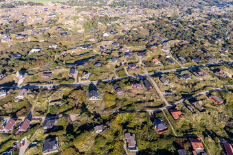 Cozy holiday homes in Rindby Strand in Fanø in the state South Denmark, Denmark