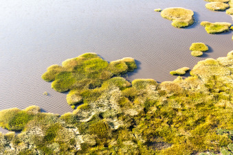 Wadden Sea National Park in Fanø in the state South Denmark, Denmark from the drone perspective