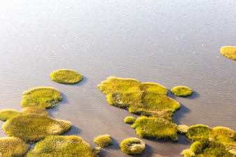 Aerial photograpy of Wadden Sea National Park in Fanø in the state South Denmark, Denmark