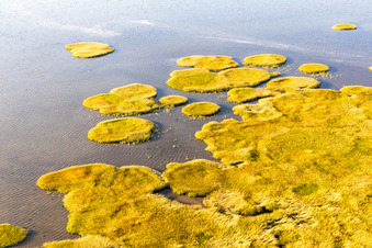Oblique view of Wadden Sea National Park in Fanø in the state South Denmark, Denmark