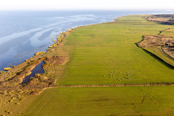 Wadden Sea National Park in Fanø in the state South Denmark, Denmark from the plane