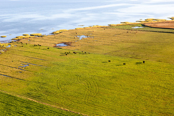 Wadden Sea National Park in Fanø in the state South Denmark, Denmark viewn from the air