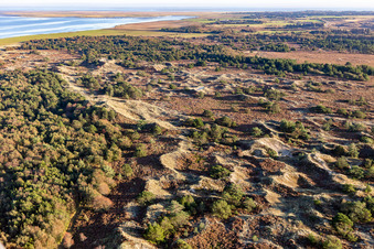 Wadden Sea National Park in Fanø in the state South Denmark, Denmark from a drone