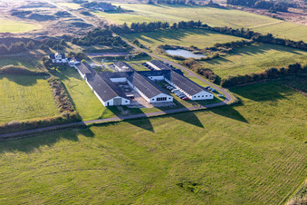 Rudbeck Farm Fanø in Fanø in the state South Denmark, Denmark