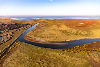 Coast landscape in national-parc wadden sea in Soenderho on the island Fanoe in Syddanmark, Denmark