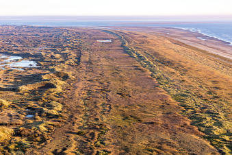 Aerial photograpy of Wadden Sea National Park in Fanø in the state South Denmark, Denmark