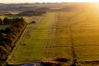 International Airport with Highland cattle in Fanø in the state South Denmark, Denmark