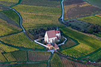 Churches building the chapel Wallfahrtskirche Maria in Weingarten in Volkach in the state Bavaria, Germany from above