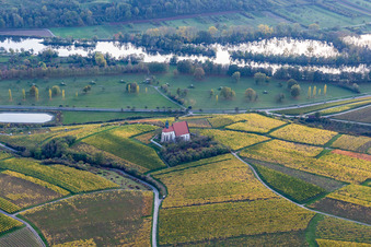 Aerial photograpy of Pilgrimage Church of Maria im Weingarten in Volkach in the state Bavaria, Germany