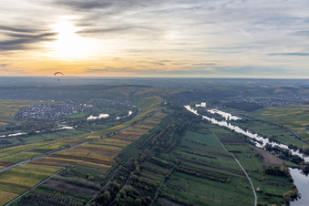 Vogelsburg Main Loop in the district Astheim in Volkach in the state Bavaria, Germany