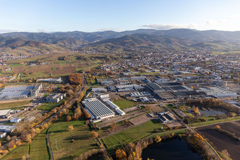 Building and production halls on the premises of LuK GmbH & Co. KG on Bussmatten in Buehl in the state Baden-Wurttemberg, Germany