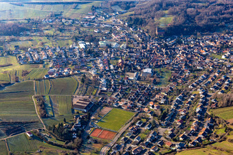 Albersweiler in the state Rhineland-Palatinate, Germany from above