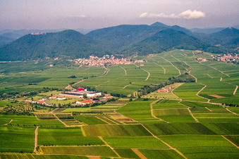 Wine-growing village below the Madenburg from the west in Eschbach in the state Rhineland-Palatinate, Germany