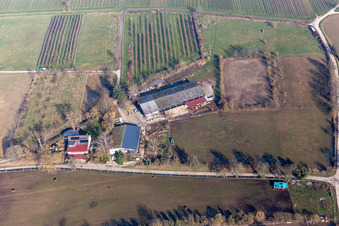 Riding club in Oberotterbach in the state Rhineland-Palatinate, Germany